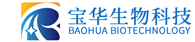 德甲直播官网-德甲（中国
